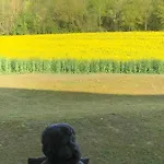 Maison Indépendante à La Campagne Casa de Férias Courcelles-sur-Vesle
